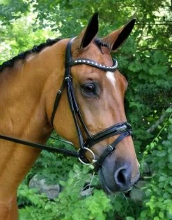 Stride Dressage Bridle - Black
