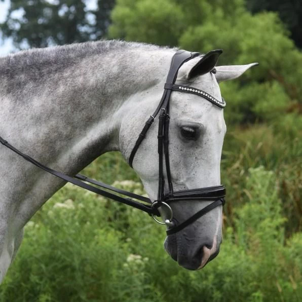 Pace Bridle - Black 2 Pace Bridle - Black - Image 2