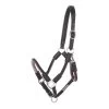 Kavalkade "Cavo" Rope Halter With Lead Set