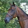 Spruce Hunter Bridle With Laced Reins - Australian Nut