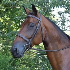 Spruce Hunter Bridle With Laced Reins - Australian Nut