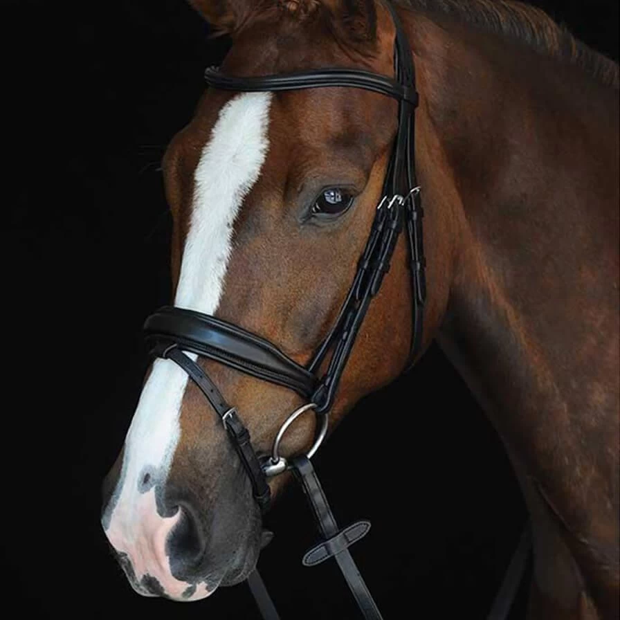 Collegiate Mono Crown Raised Padded Flash Bridle - FULL 1 Collegiate Mono Crown Raised Padded Flash Bridle - FULL
