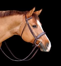 Red Barn Tryon Bridle - Australian Nut