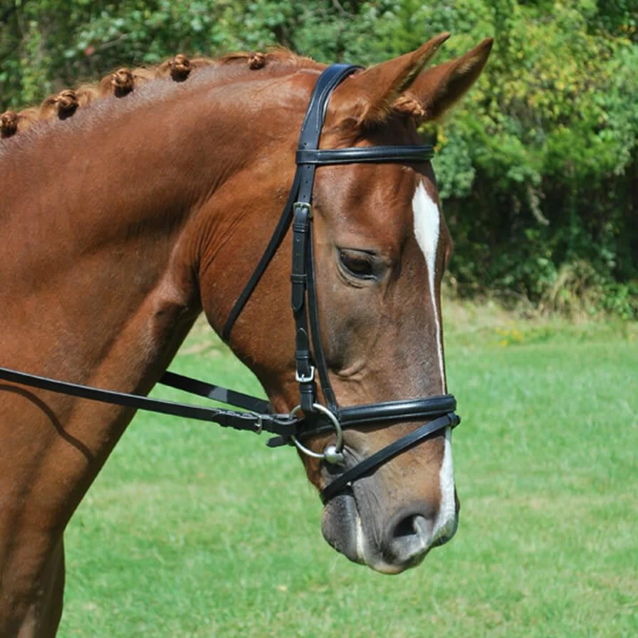 Red Barn Levade Dressage Bridle With Flash - Black