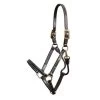 Showman Halter
