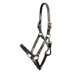Showman Halter