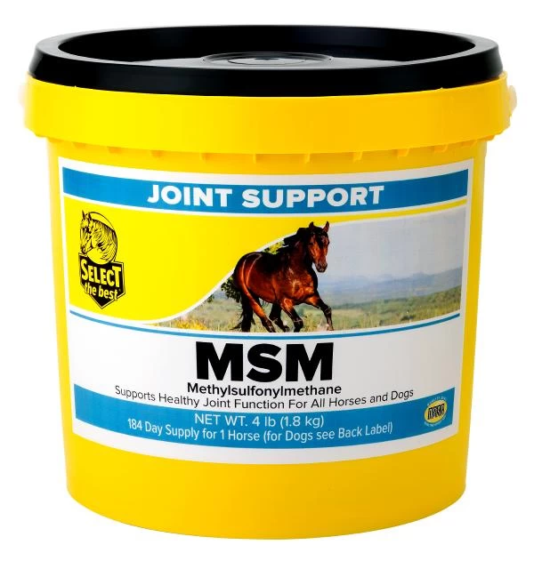 MSM Powder - 4 Lbs - 4LB 1 MSM Powder - 4 Lbs - 4LB