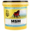 MSM Powder - 10 Lbs - 10LB