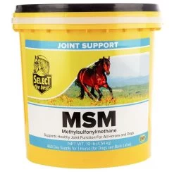 MSM Powder - 10 Lbs - 10LB