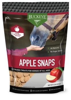 All Natural No Sugar Added Apple Snaps - 4 Lbs - Apple