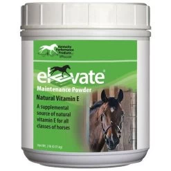 Elevate Maintenance Powder - 2 Lbs - 2LB