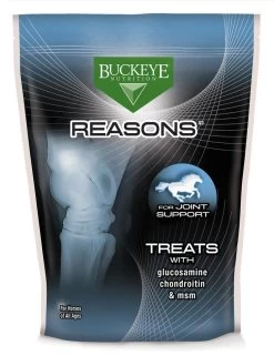 Reasons Joint Equine Treats - 4 Lbs - 4LB