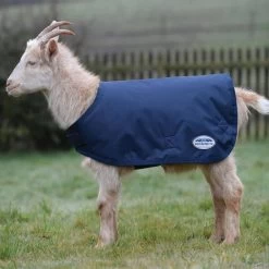 Weatherbeeta Goat Coat - Navy