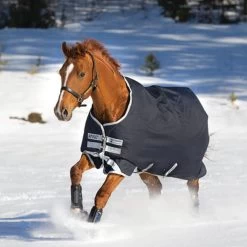 Amigo® Bravo 12 Original Medium Weight - Navy/Silver