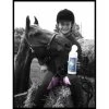 Horse Amour Bit Wipes - Peppermint