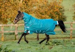 Amigo® Bravo 12 Plus (400g Heavy) -Equestrian Supplies Shop 6408 STORM GREEN l