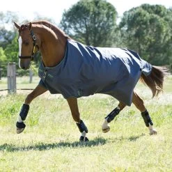 Amigo® Hero 6 Lite Weight - Excalibur