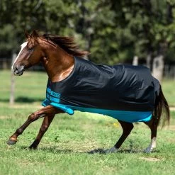 Amigo® Mio™ Sheet