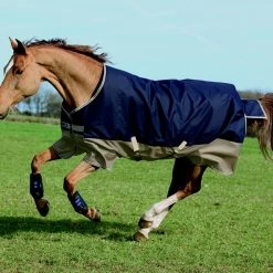 Amigo® Mio™ Sheet -Equestrian Supplies Shop 678 NAVYTAN l