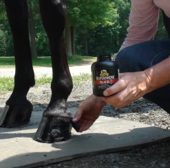 SuperShine® Black Hoof Polish & Sealer - Black -Equestrian Supplies Shop 690412 C