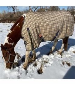 Baker Original Turnout Blanket - 400 Gram Heavy - Tan -Equestrian Supplies Shop 7009 alt4