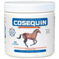 Cosequin® Original Joint Supplement - 280G - 280GM