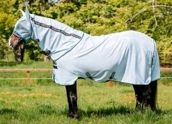 Amigo Bug Rug - White With Black And Azure