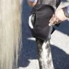 Ice Horse® Hock Wraps - One Size