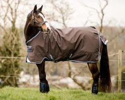 Amigo® Bravo 12 Original Pony (0g Lite)