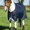Amigo® Bravo 12 Original Pony Medium Weight - Navy, Red And Blue