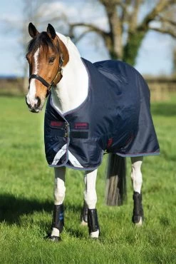 Amigo® Bravo 12 Original Pony Medium Weight - Navy, Red And Blue