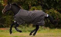 Amigo® Bravo 12 Original Pony Heavy Weight