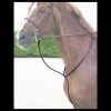 Hunter Standing Martingale - Brown