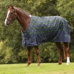 Saxon 1200 Denier Lite Sheet With Gusset -Equestrian Supplies Shop 8869 BLACKWATCH PLAID l