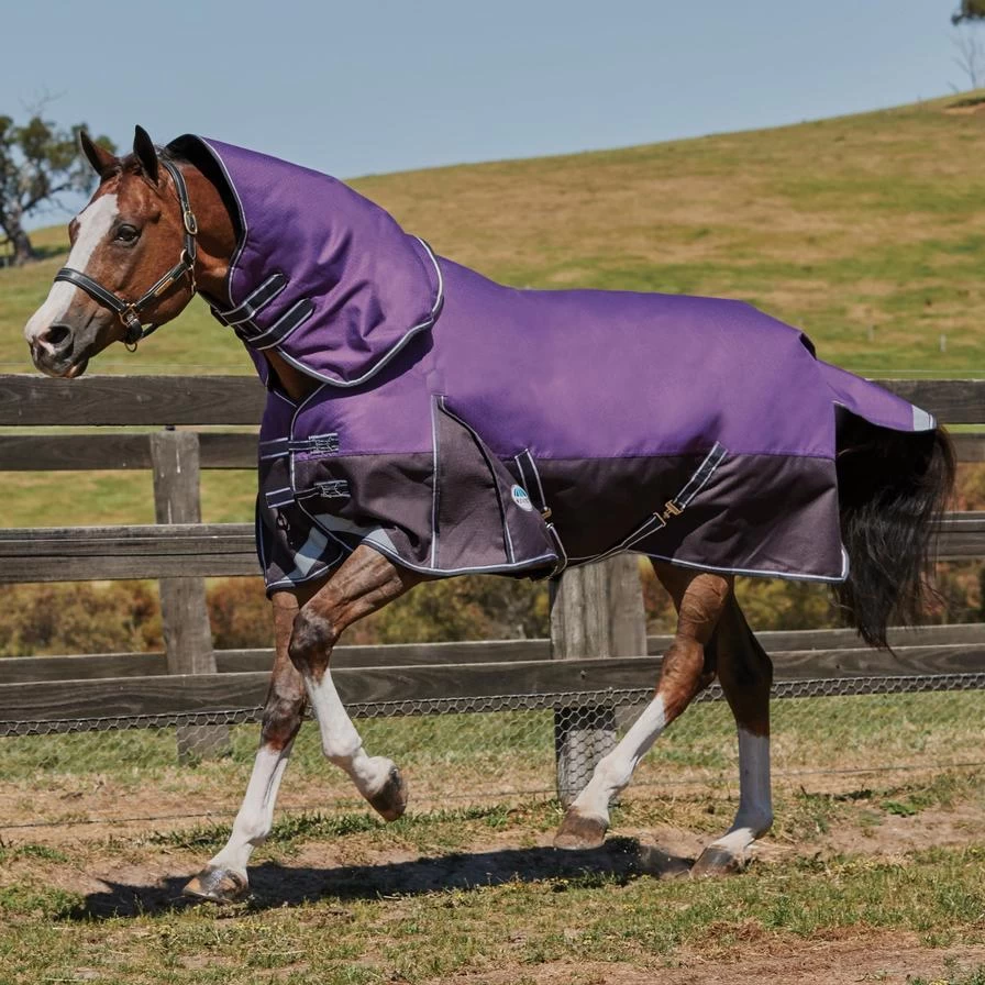 Weatherbeeta ComFiTec Plus Dynamic Detach-A-Neck Medium Turnout - Purple/Black 1 Weatherbeeta ComFiTec Plus Dynamic Detach-A-Neck Medium Turnout - Purple/Black