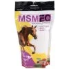 MSM EQ - 1 Lb - 1LB