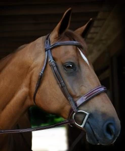 Tuscany Bridle - Australian Nut