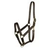 Gatsby Adjustable Halter With Snap - Yearling - Brown