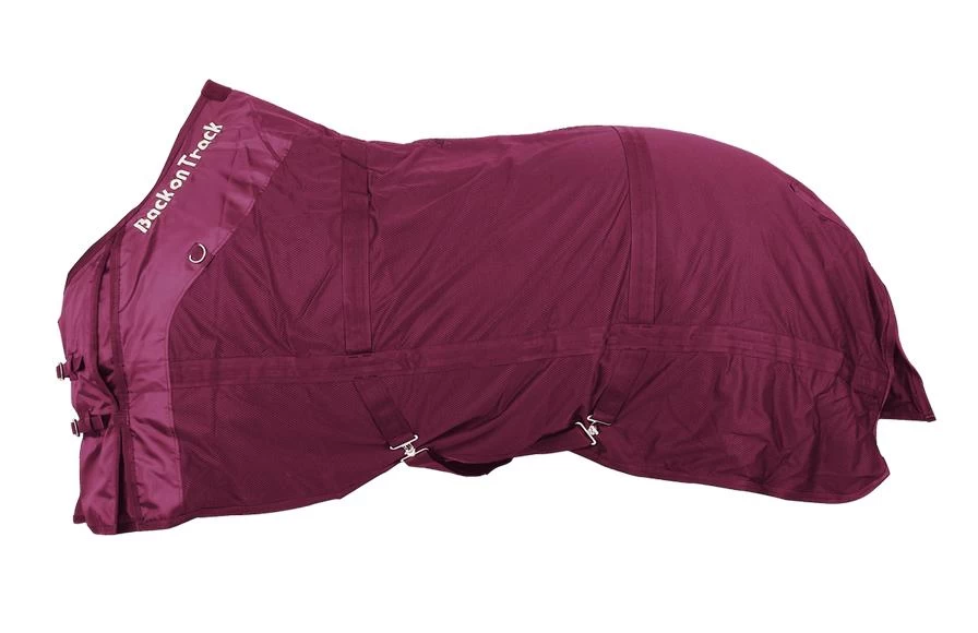 Back On Track Mesh Sheet 2 Back On Track Mesh Sheet - Image 2