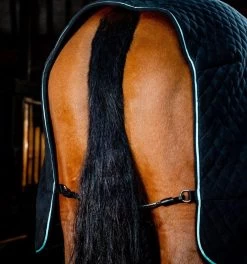 Autumn Cooler 13 Autumn Cooler -Equestrian Supplies Shop ACHFL2 F