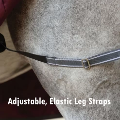 Weatherbeeta ComfiTec Plus Dynamic II Detach-A-Neck Lite- Maroon, Grey And White -Equestrian Supplies Shop AELS1 1