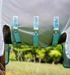 Amigo® AmECO Bug Buster Sheet - Silver And Skyblue -Equestrian Supplies Shop AFRRK0 D