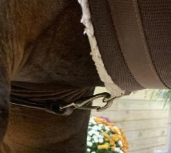 Easy-Off Standing Martingale - Brown