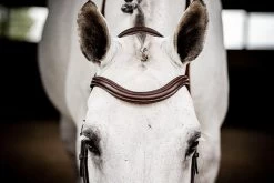 Micklem 2 Deluxe Competition Bridle - Dark Havana -Equestrian Supplies Shop SBMUM2 D