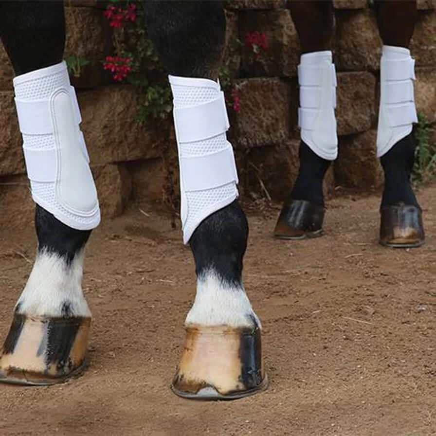 Pro Performance Schooling Boots - White 2 Pro Performance Schooling Boots - White - Image 2