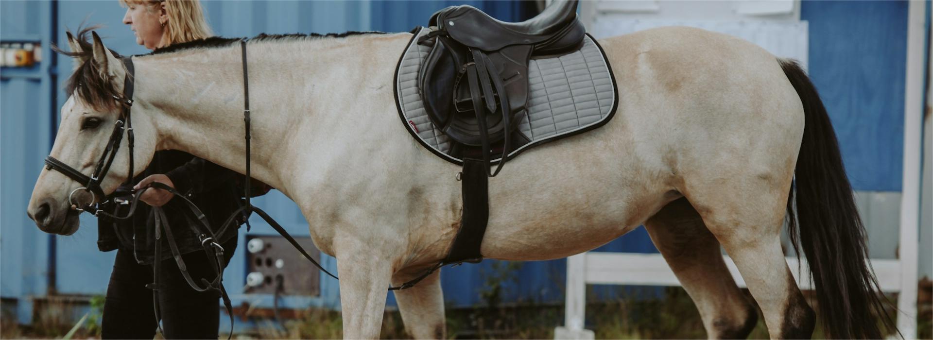 Equestrian Supplies Shop -Equestrian Supplies Shop valerie fomina Yfhavy9y9OM unsplash